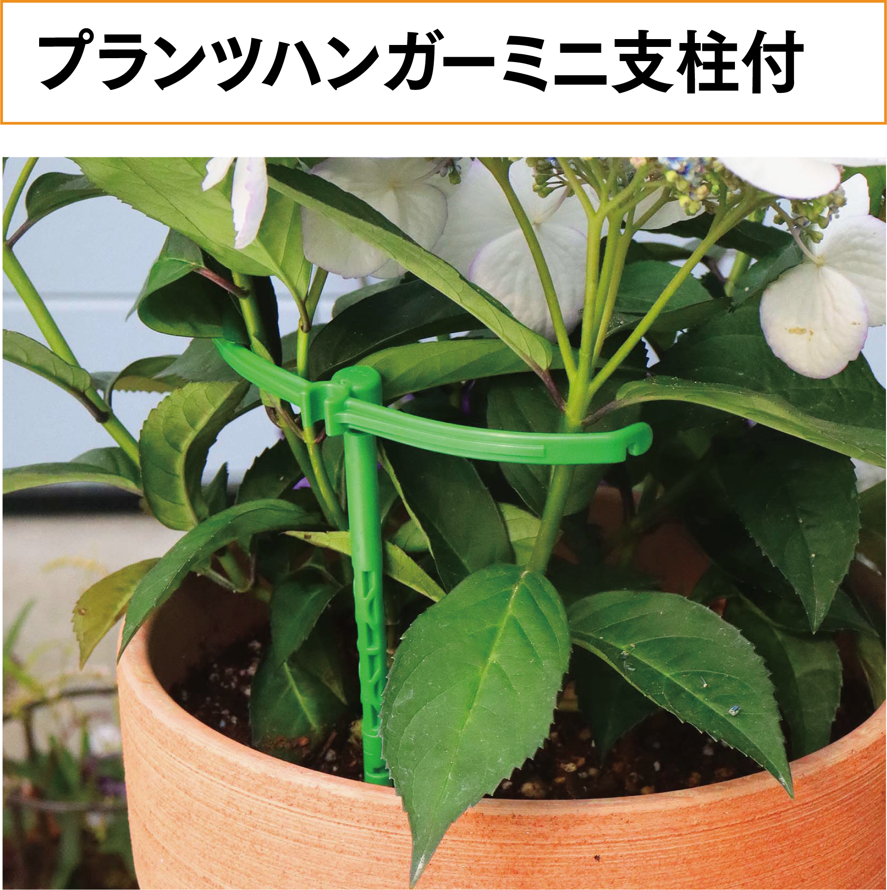 花卉園芸用草花整理資材 プランツハンガーイメージ