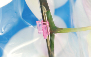 胡蝶蘭用資材 農業資材の有限会社シーム