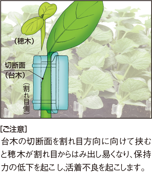 ウリカホルダーシリーズ ご注意イラスト